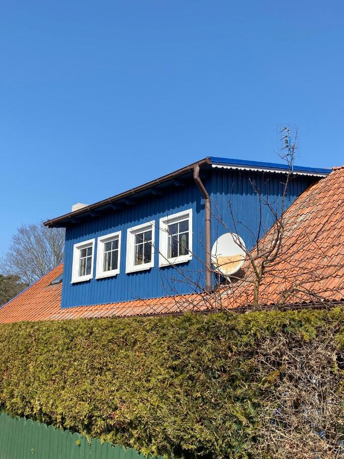 Bangomusa Nida Exteriér fotografie